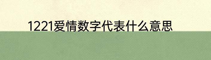 1221爱情数字代表什么意思