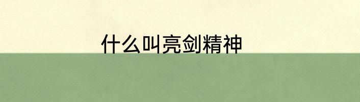 什么叫亮剑精神