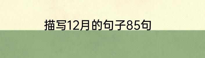 描写12月的句子85句