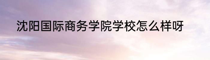 沈阳国际商务学院学校怎么样呀