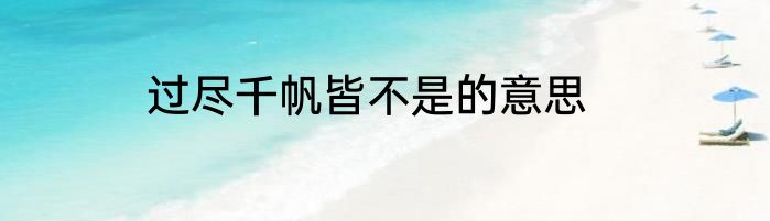 过尽千帆皆不是的意思