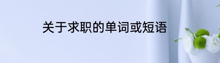 关于求职的单词或短语