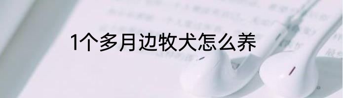 1个多月边牧犬怎么养