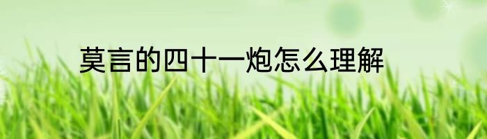 莫言的四十一炮怎么理解