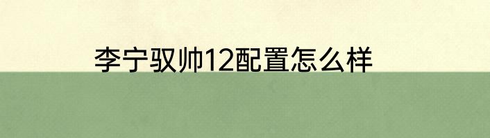 李宁驭帅12配置怎么样