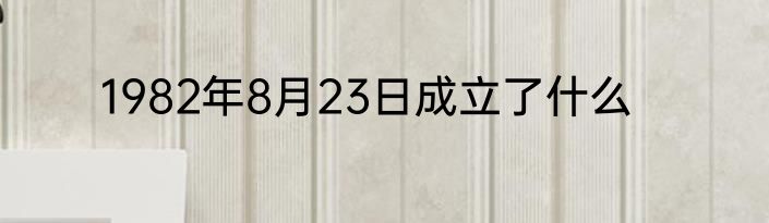 1982年8月23日成立了什么