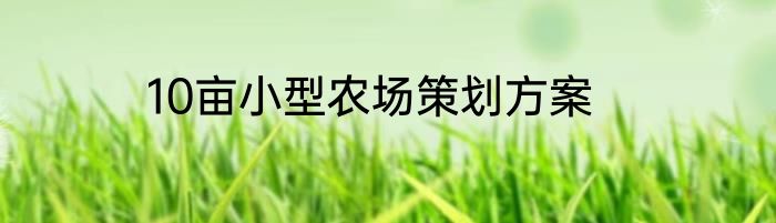 10亩小型农场策划方案