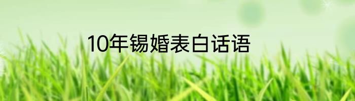 10年锡婚表白话语