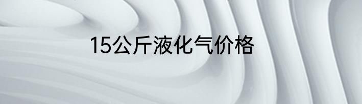 15公斤液化气价格
