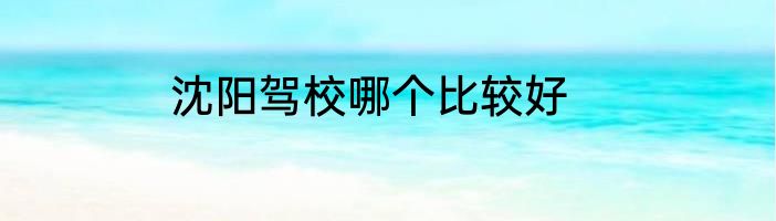 沈阳驾校哪个比较好