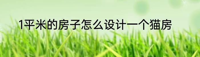 1平米的房子怎么设计一个猫房
