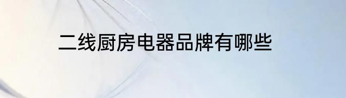 二线厨房电器品牌有哪些
