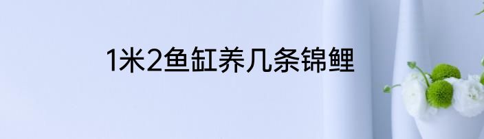 1米2鱼缸养几条锦鲤