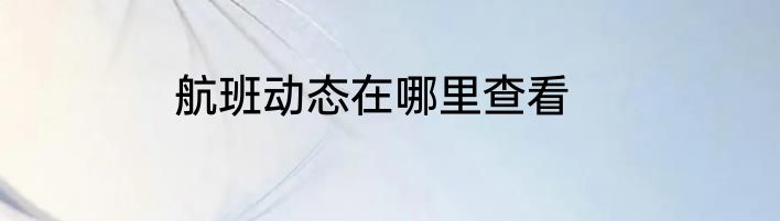 航班动态在哪里查看