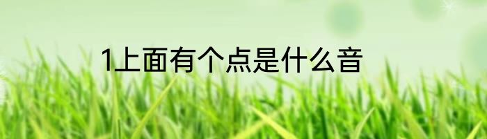 1上面有个点是什么音
