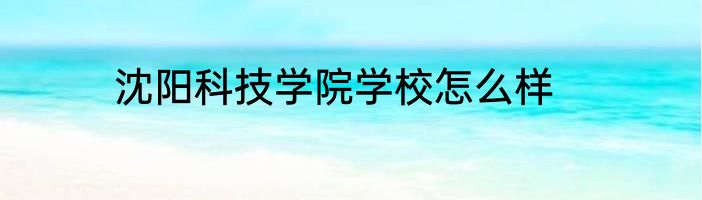沈阳科技学院学校怎么样