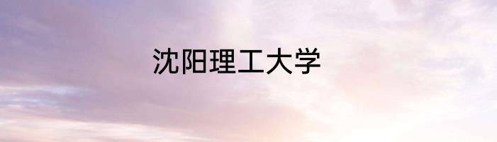 沈阳理工大学