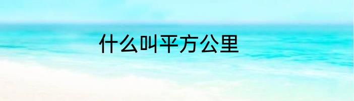 什么叫平方公里