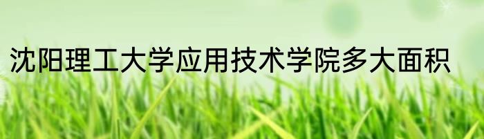 沈阳理工大学应用技术学院多大面积