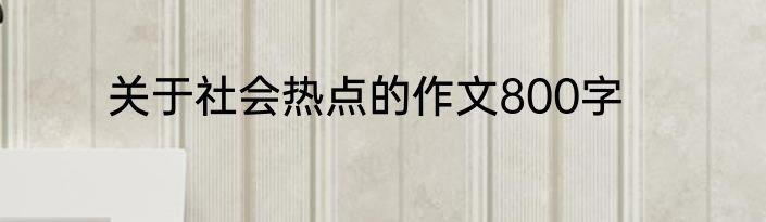 关于社会热点的作文800字