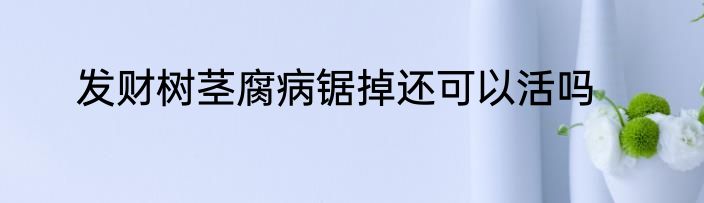 发财树茎腐病锯掉还可以活吗
