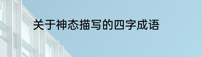 关于神态描写的四字成语
