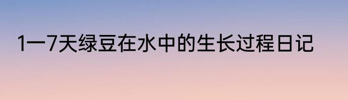 1一7天绿豆在水中的生长过程日记