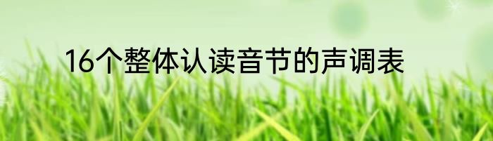 16个整体认读音节的声调表