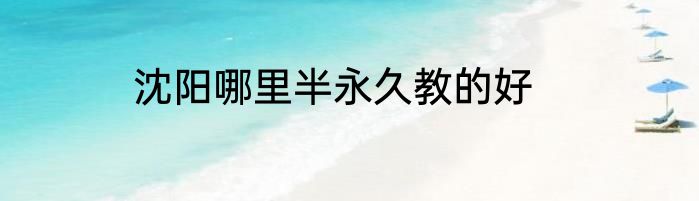 沈阳哪里半永久教的好