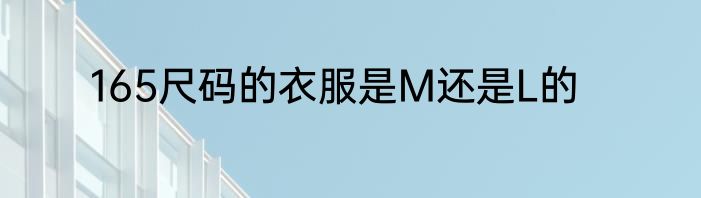 165尺码的衣服是M还是L的