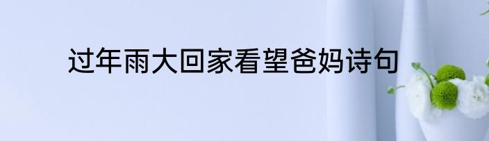 过年雨大回家看望爸妈诗句