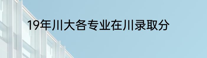 19年川大各专业在川录取分