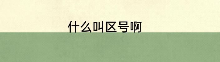 什么叫区号啊