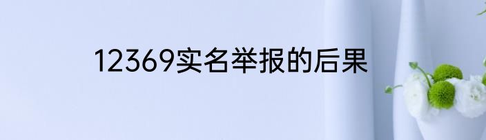 12369实名举报的后果