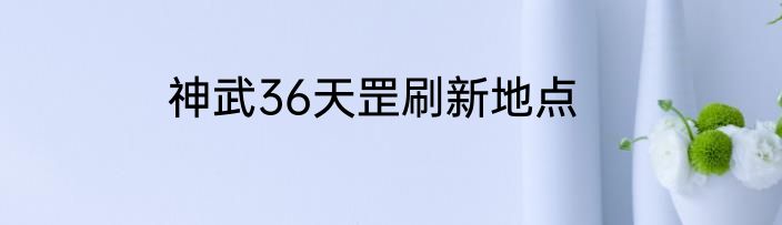 神武36天罡刷新地点