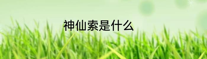 神仙索是什么