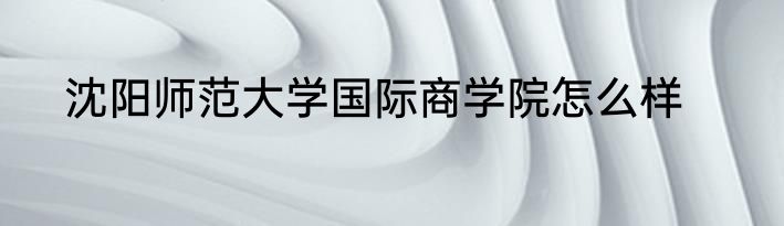 沈阳师范大学国际商学院怎么样