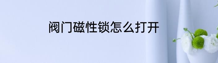 阀门磁性锁怎么打开