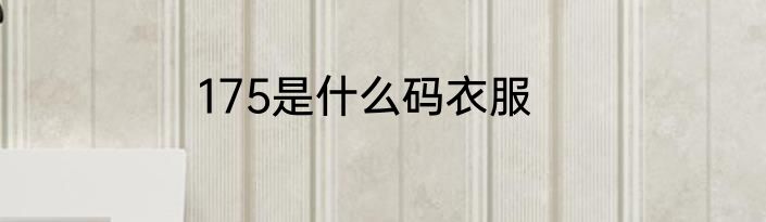 175是什么码衣服