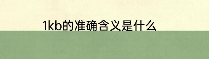 1kb的准确含义是什么