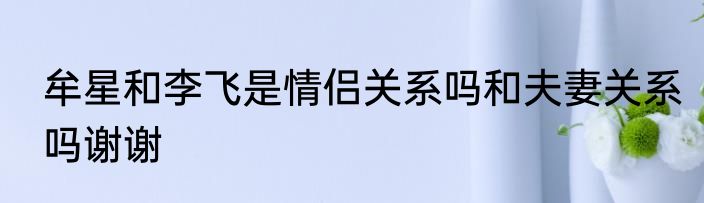 牟星和李飞是情侣关系吗和夫妻关系吗谢谢