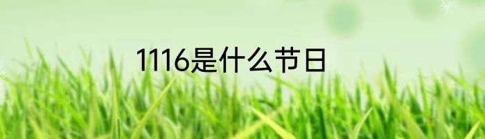 1116是什么节日