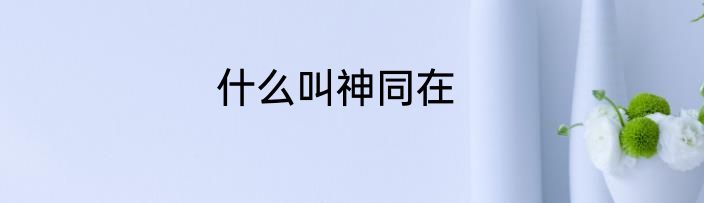 什么叫神同在