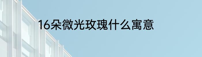 16朵微光玫瑰什么寓意