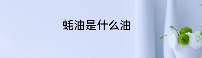 蚝油是什么油