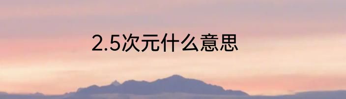 2.5次元什么意思