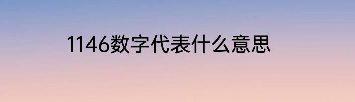1146数字代表什么意思