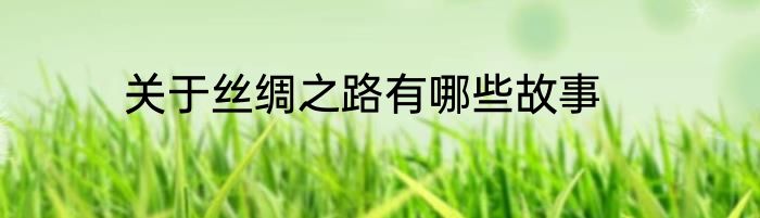 关于丝绸之路有哪些故事