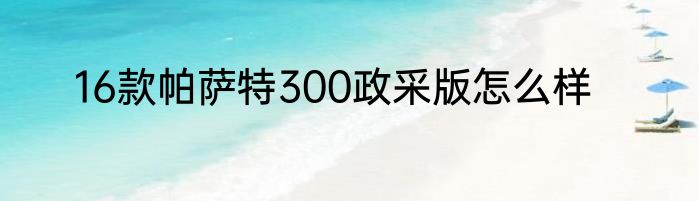 16款帕萨特300政采版怎么样