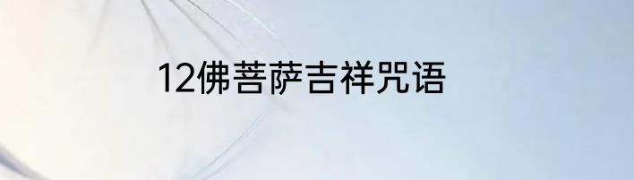 12佛菩萨吉祥咒语